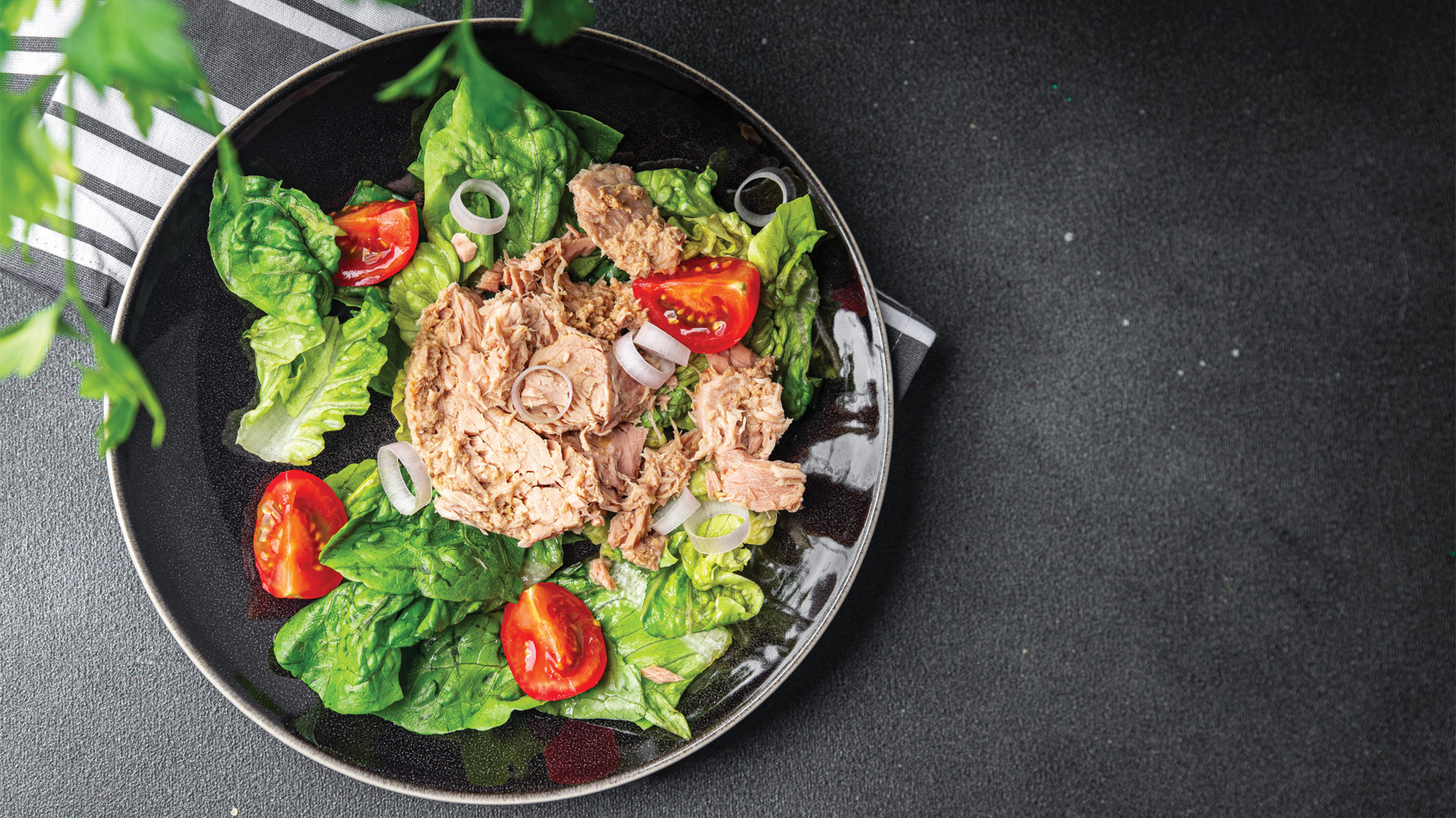 Sezar Soslu Ton Balıklı Salata